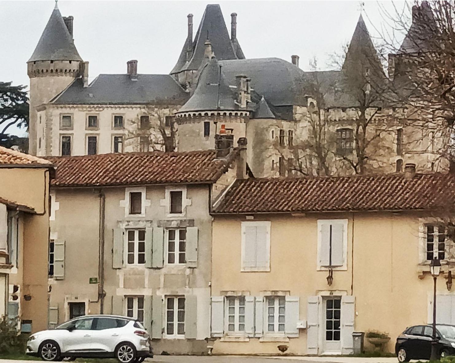 Апартаменти Au Bord De La Riviere Verteuil-sur-Charente Екстер'єр фото